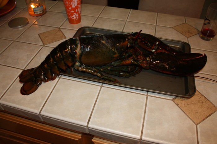 Lobster 5-29-2011 3-57-45 PM.JPG (1 MB)